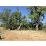 landscaping lubbock tx​
