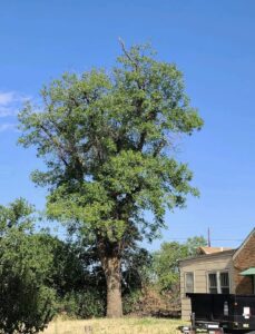 Commercial Roofing San Marcos