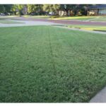 landscaping lubbock tx​