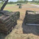 landscaping lubbock tx​