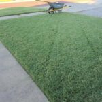 landscaping lubbock tx​